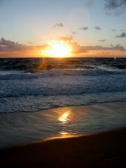 The Florida beach
