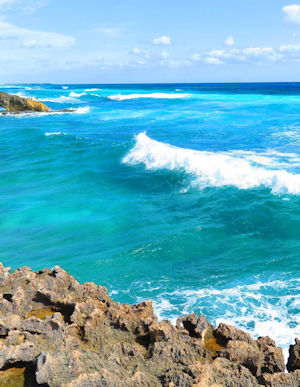 El Mirador - Cozumel - Mexico