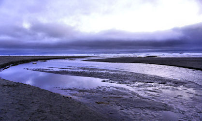 Kalaloch Beach - Washington